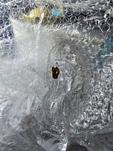 Waterford seahorse clear - seahorse,