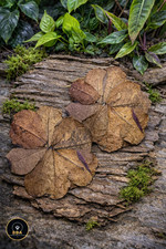 Indian Almond (Catappa) Leaves