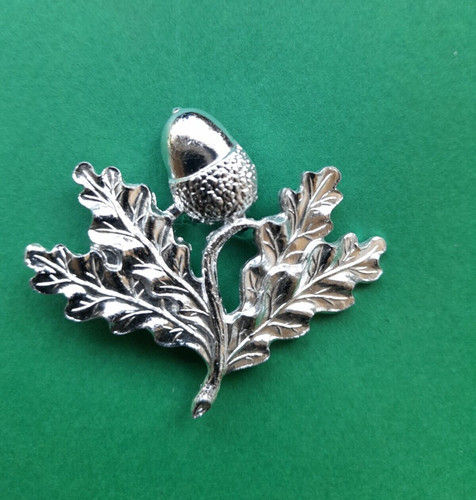 South nottinghamshire hussars - south,