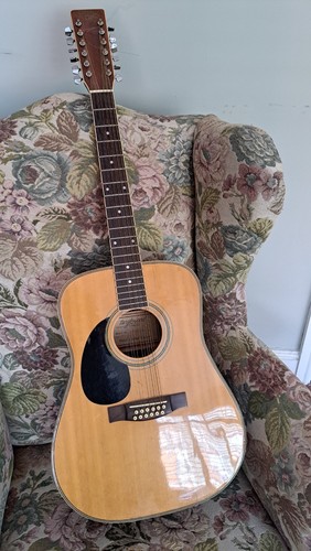 Left handed string acoustic - handed, 12-string