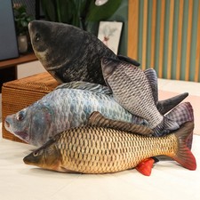 Fish Crucian Carp Mandarin