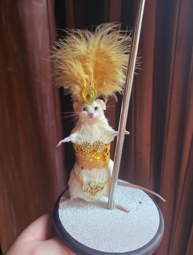 Mouse taxidermy dancer gold - taxidermy,
