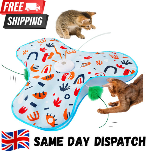 Interactive cat toy - interactive,