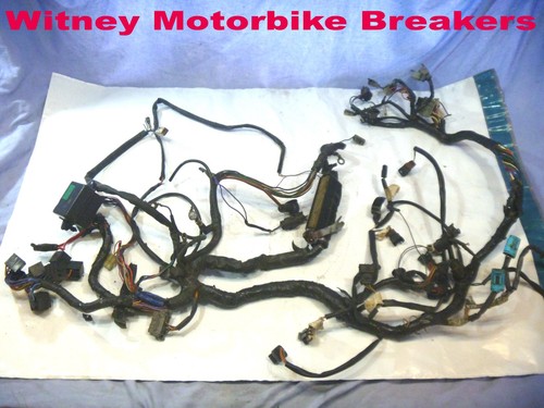 Triumph daytona 595 - daytona, 97-01