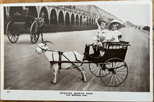 BRIGHTON MADEIRA ROAD "OUR MORNING RIDE" CHILDREN IN GOAT & CART 1910 PALACE RP
