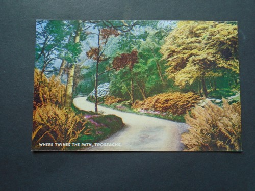 Argyll bute where twines - bute:,