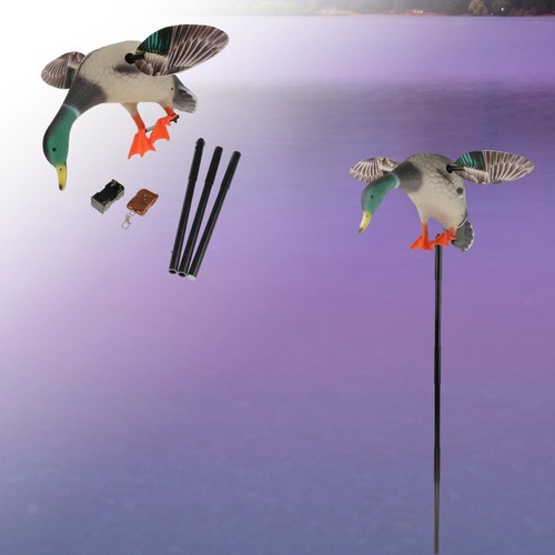 Mallard drake teal - teal, swivel