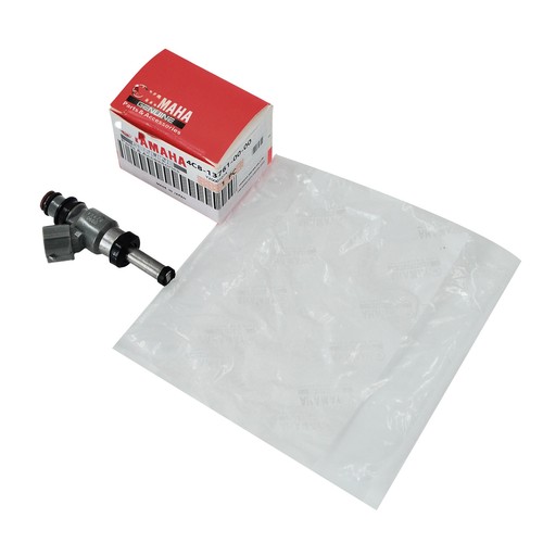 Fuel injector for - injector,