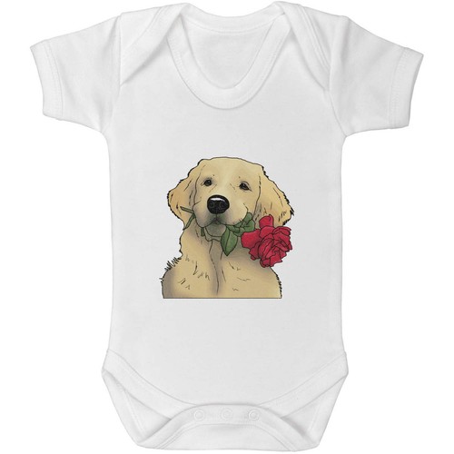Golden retriever rose baby - &,