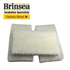 Evaporating blocks for - x3,