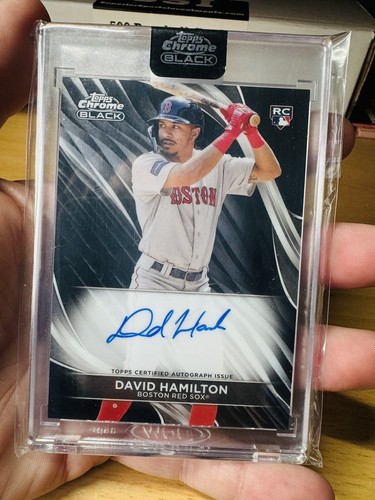 David hamilton red sox - red, 2024