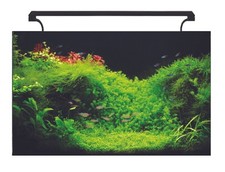 Aquanano glass aquarium - aquanano, 80