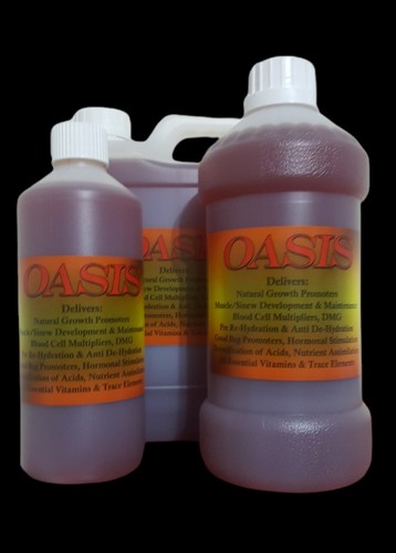 Oasis all one racing - all,