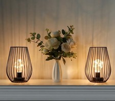 Trirocks 2 Metal Caged Lamps