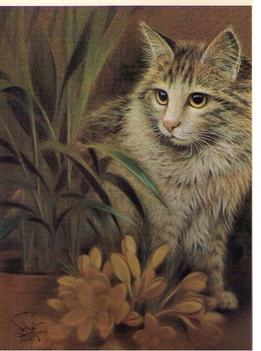 Sue willis oliver cat - willis,
