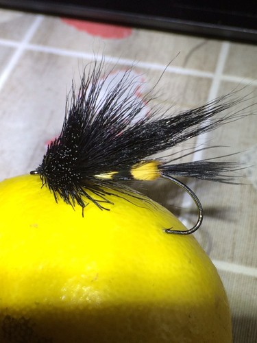 Sea trout flies surface - trout, 3.