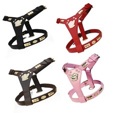 Leather Dog Harness for Staffy