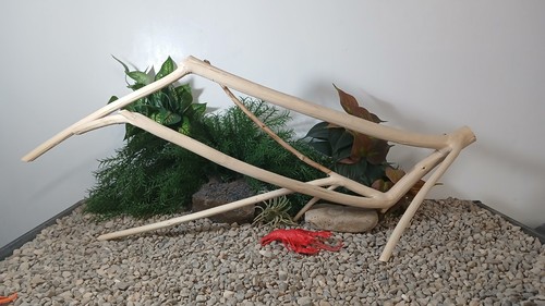Driftwood aquarium fish - , &