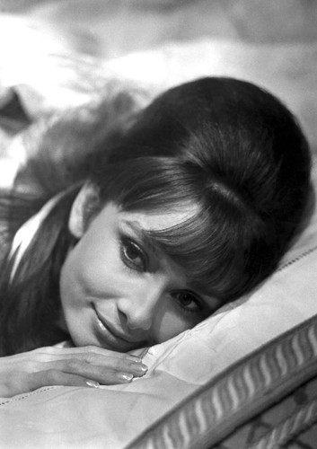Audrey hepburn monochrome - hepburn,