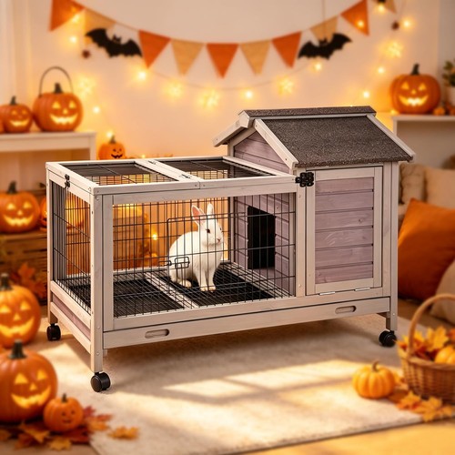 Rabbit hutch wooden indoor - rabbit,