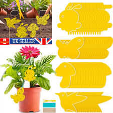 69PCS Sticky Fly Traps Plant