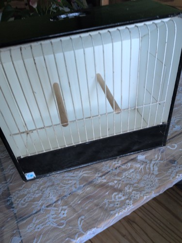 Standard wooden show - standard,