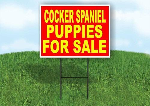 Cocker spaniel puppies for - puppies,