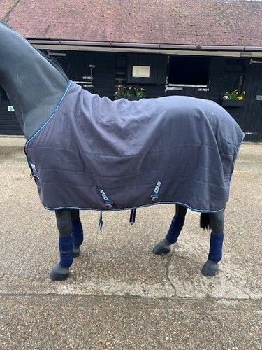 Horseware ireland amigo 100g - horseware,