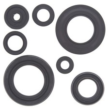 QuadBoss 564108 Oil Seal Set