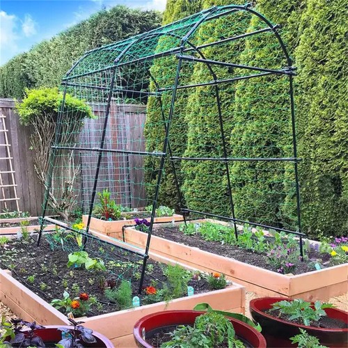 Garden cucumber trellis heavy - cucumber,