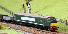 Rapido 948503 Class 44 D2