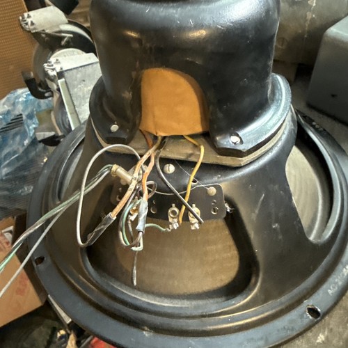 Rola jensen field - 12”, coil