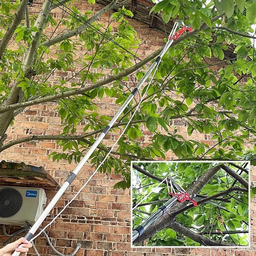 Tree loppers long - tree,