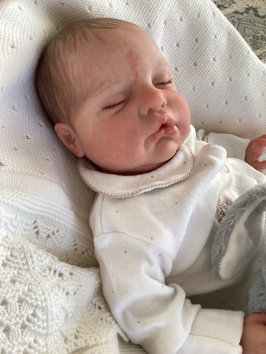 Reborn baby alex - reborn,