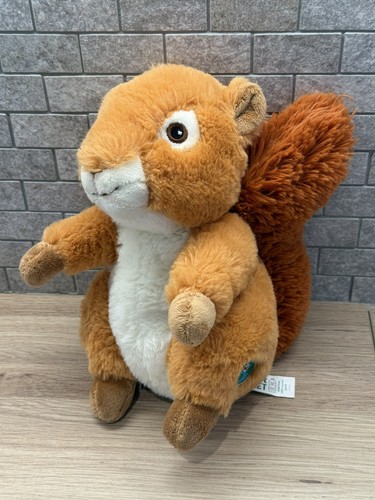 Your planet red squirrel - your, with