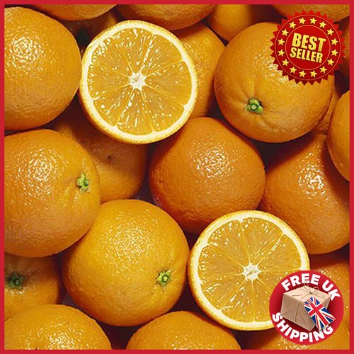 Large juicy orange tree - large,
