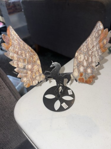 Jasper wings unicorn - on, a