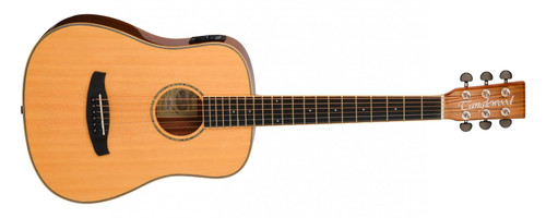 Tanglewood acoustic guitar - tanglewood,