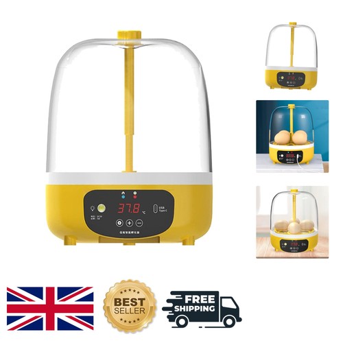 Egg capacity hatching - capacity,
