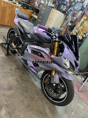 Chameleon gray dazz purple - chameleon,