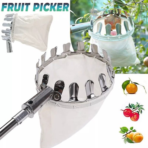 Apple fruit nut - apple, picker