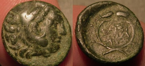 Mrtwn lysimachos thrace ae15 - thrace,
