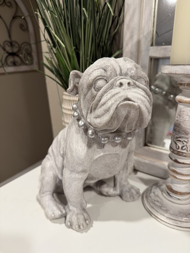 English bulldog pearl - english,
