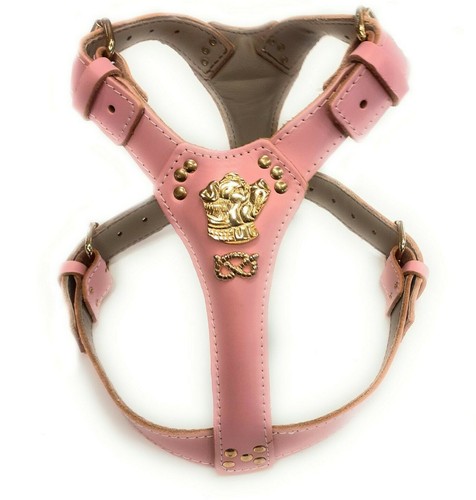 Baby pink gold - pink, dog