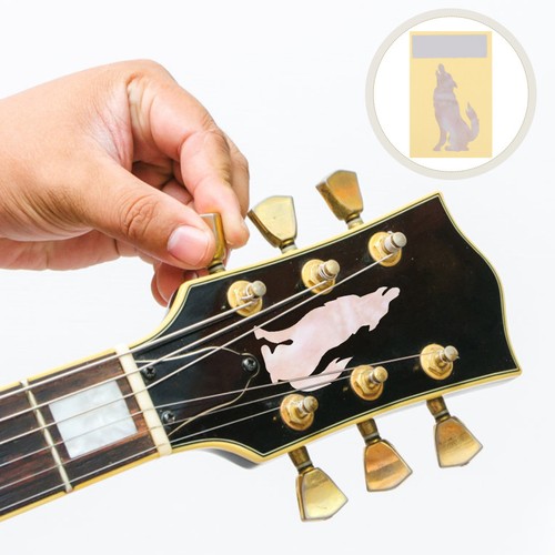 Acoustic guitar accessories - guitar,