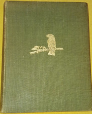 The Natural History of