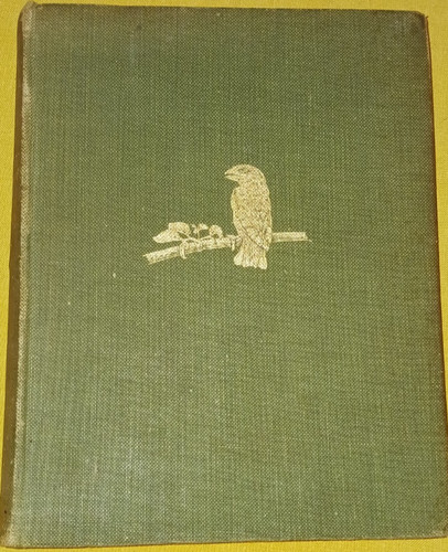 The natural history - natural,