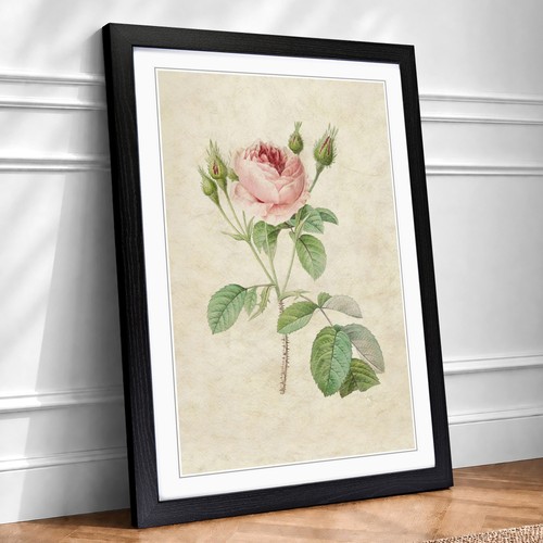 Pink rose flowers vintage - a,