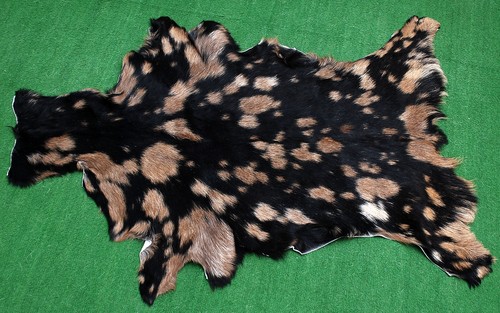 Luxury goat hide rug - rug, hair