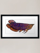 Arowana fish framed art print - arowana,